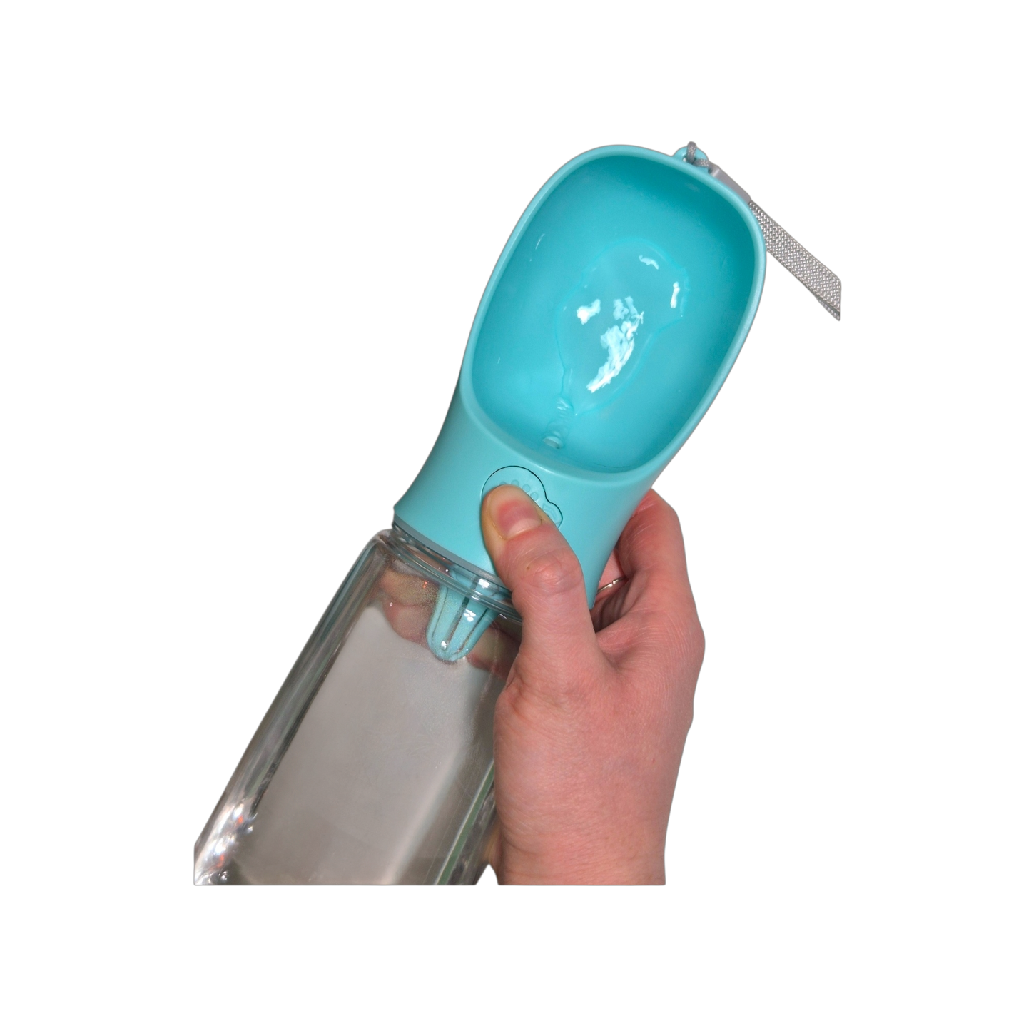 Gourde Portable pour chien